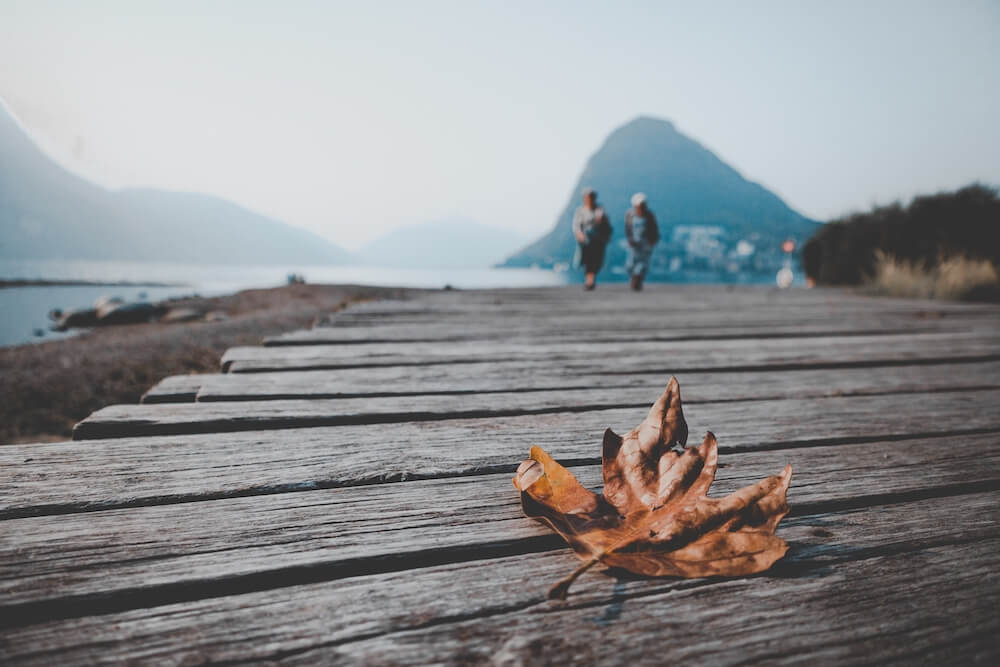 otoño en Higuerón