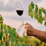 vino malaga cata